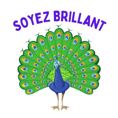 Soyez brillant impression